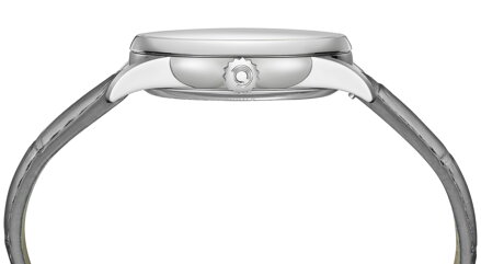 Hodinky Certina DS-1 Day Date C029.430.16.011.01