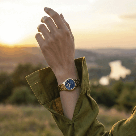 Dámske hodinky FESTINA SWISS MADE 20098/3