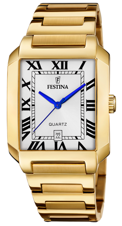 Pánske hodinky Festina Classics 20678/1