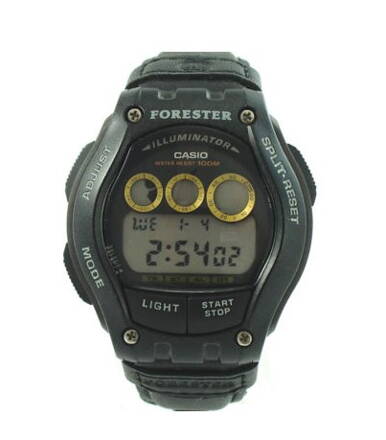 Casio FT-110 H